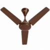 chatgpt image jul 24, 2026, 08 31 43 pm